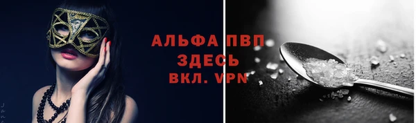 молекула духа Алексин