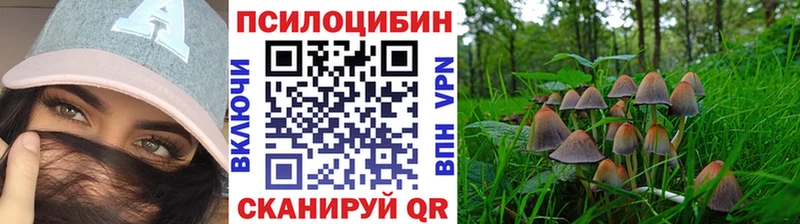 Галлюциногенные грибы мухоморы цена наркотик Александровск-Сахалинский